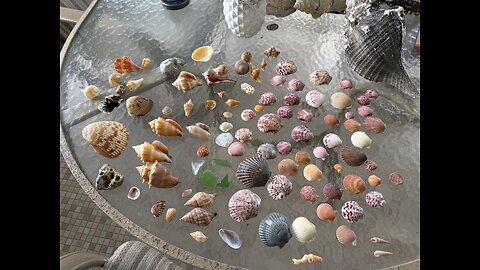 Beach Finds 10/7/2025 | 4K