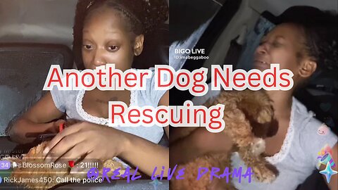 21 Bad B!tch ~ ANOTHER Drunken Night ANOTHER Dog That Needs To Be Rescued ~ Bigo Live