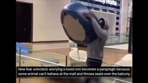 Dodging Chair Bombs At The Mall · More Crazy Black Behavior Crime & Violence 190