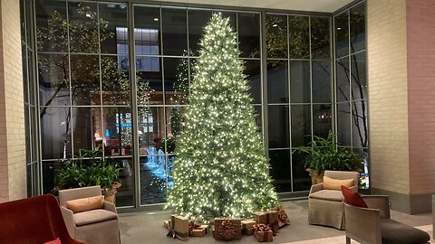 Christmas Tree (Midtown Manhattan Apartment)