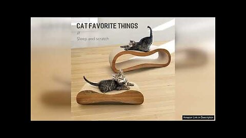 FluffyDream 2 in 1 Cat Scratcher Cardboard Lounge Bed Cat Scratching Post Review