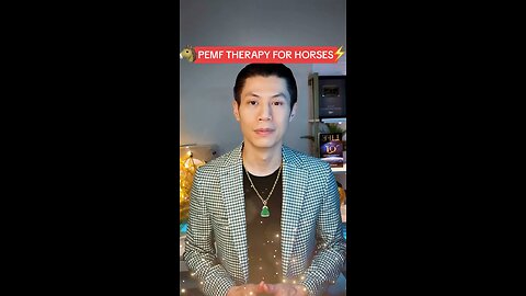 PEMF THERAPY FOR HORSES