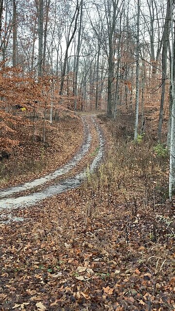 Rural Indiana in the fall