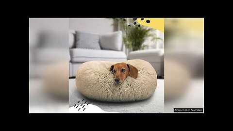 Best Friends by Sheri The Original Calming Donut Cat and Dog Bed Review