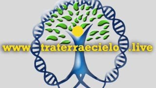 L'esperienza di pre morte