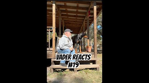 Vader Reacts #19: The Cookie Joke Earned the Silent Treatment | Yep, Fan Submitted Again