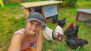 Chickens Get A New Coop, The First Egg & A Garden Harvest!