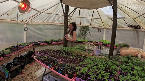 Filling up the Greenhouse