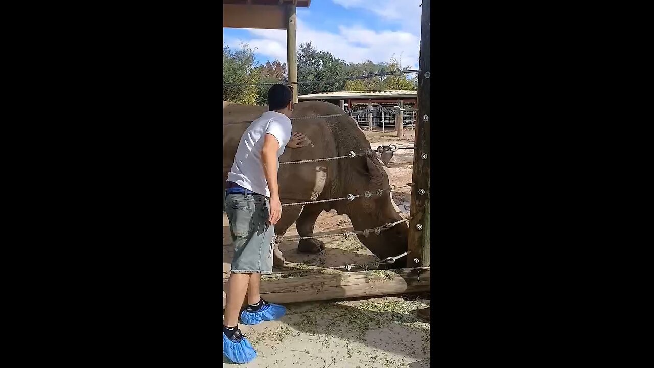 The White Rhino Encounter 🦏 😯 😲 😮