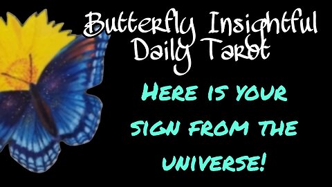 Butterfly Insightful Daily Tarot - your sign from the universe - change starts now!