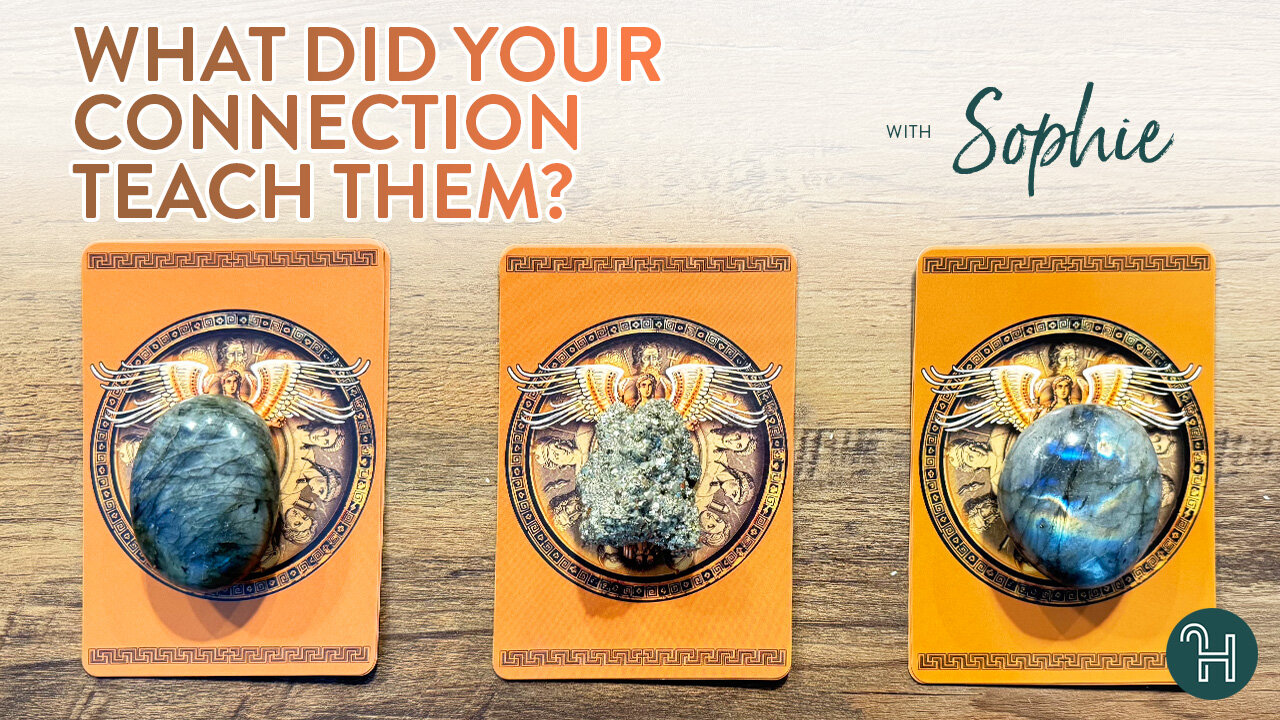 What did your connection teach them? 🔮 PICK-A-CARD THURSDAYS