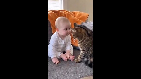 Friendship
