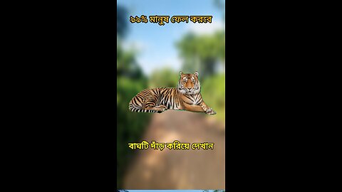 বাঘটি দাঁড় করিয়ে দেখান #viral #shorts #challenge