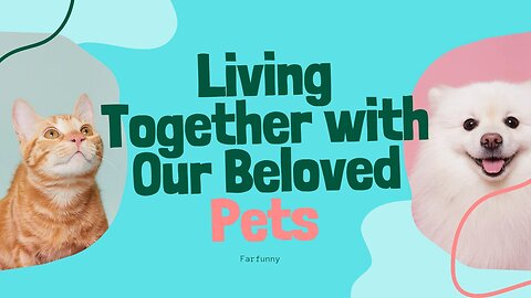 Best funny animal video 2025- dogs and cat