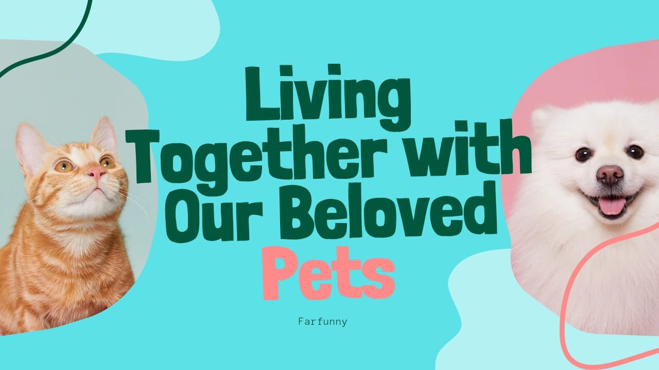 Best funny animal video 2025- dogs and cat