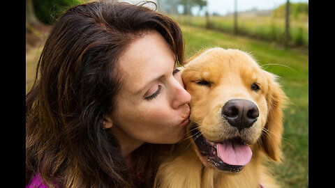 5 Ways to Show Your Dog You Love Them !