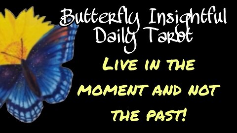 Butterfly Insightful Daily Tarot - stop worrying about money and start planning!