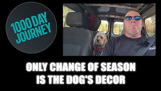 1000 Day Journey 0885 The Only Change of Season is the Dog's Decor