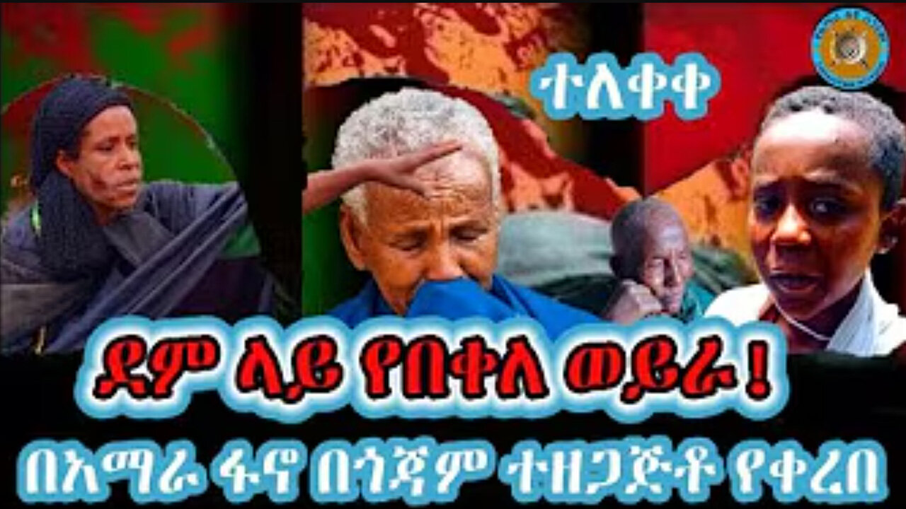 ደም ላይ የበቀለ ወይራ ክፍል አንድ