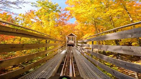 Mountain Coaster