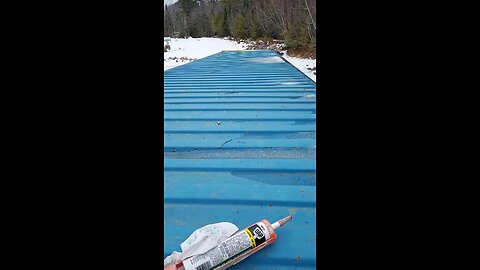 Shipping Container PSA Always Check This!