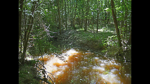 213 acre Velasco Hunting Ranch For Sale, Clardy, Texas