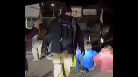 🇺🇸Immigration and Customs Enforcement (ICE) agents in the US