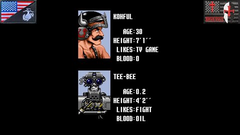The Ending Sequence: "Aero Fighters" {#11B} [All Modes] (Arcade) [NA Version]