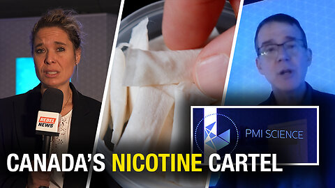 Expert says Canada is 'behind' on nicotine pouch access despite global shift to smoke-free products
