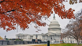 Gutfeld! - Friday, November 21