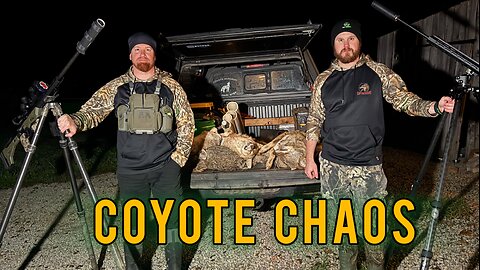 COYOTE CHAOS | 5 Coyotes Down on One Stand! (7 Down Two Weeks in a Row!)