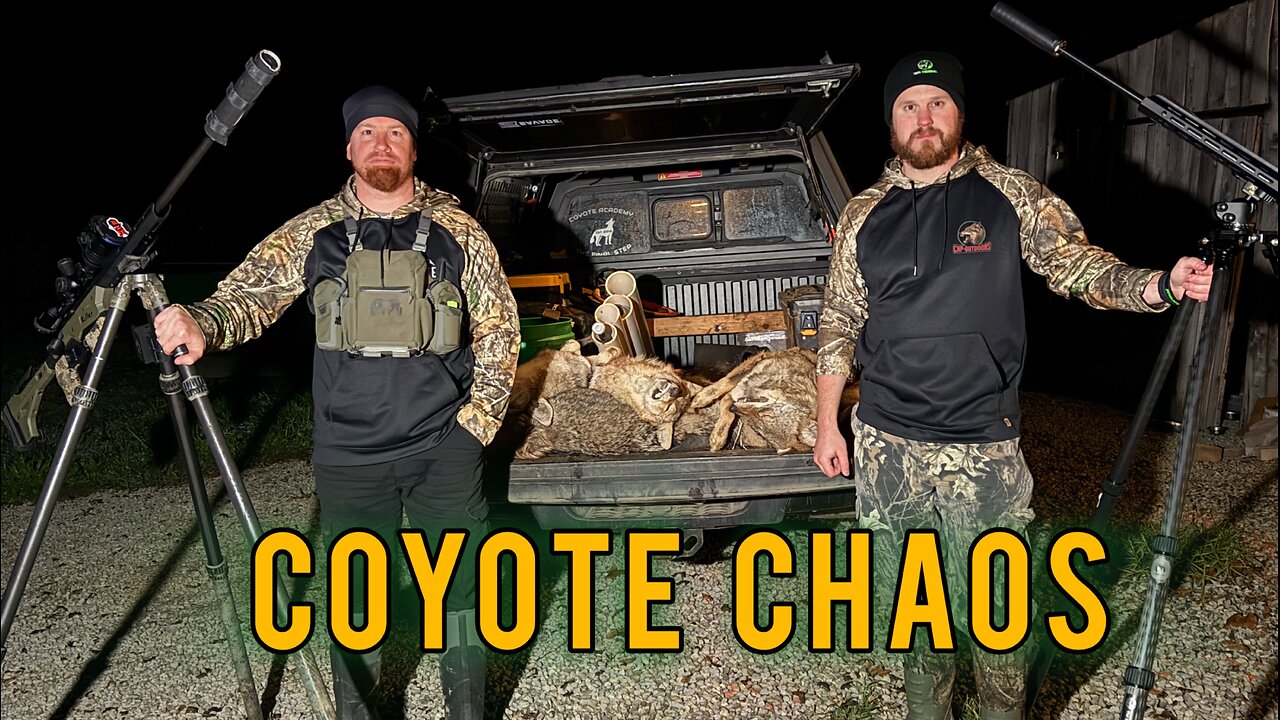 COYOTE CHAOS | 5 Coyotes Down on One Stand! (7 Down Two Weeks in a Row!)