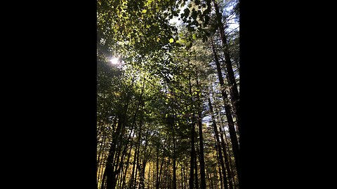 Christian Crossfire | 9 Nov 2025