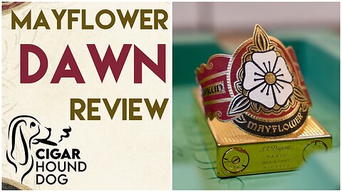 Mayflower Dawn Cigar Review