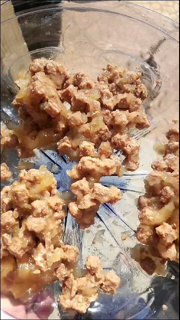 Lunch time ❤️ 😍 💖 feeding time for cats.