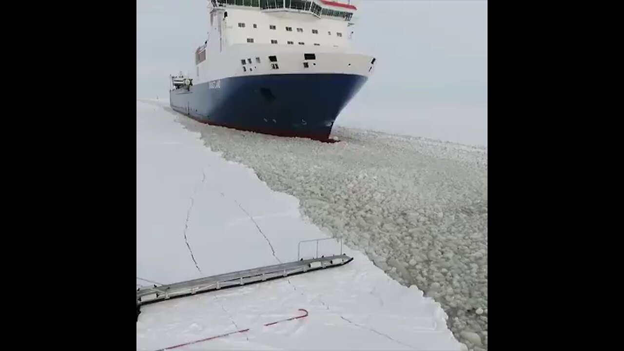 how ship pilot on board