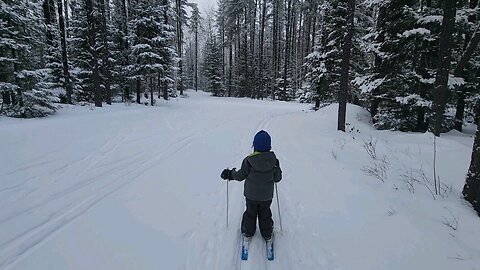 Skiing in a Winter Wonderland