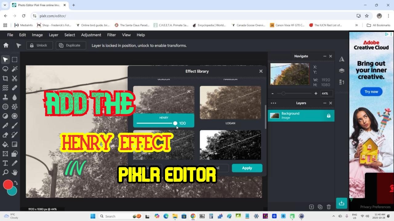 Add the Henry effect to an image in Pixlr Editor