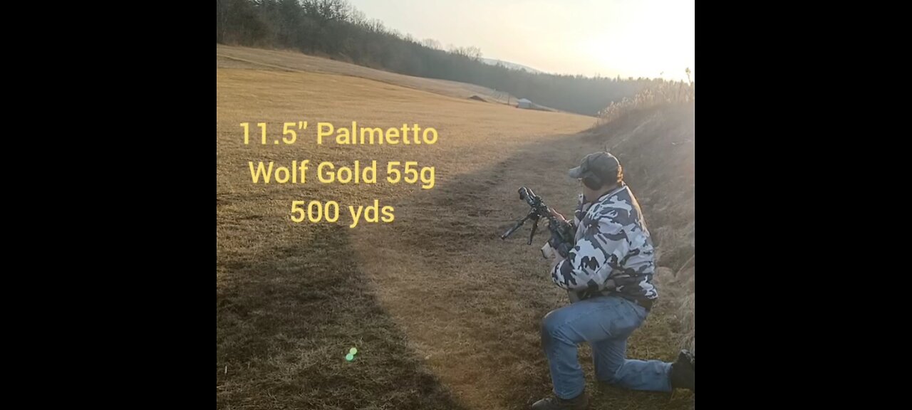 11.5" Palmetto at 500 yds with Wolf Gold 2.8 moa