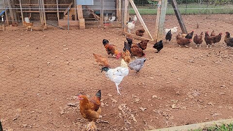 Working on the raised beds and adding a camera to the Range.