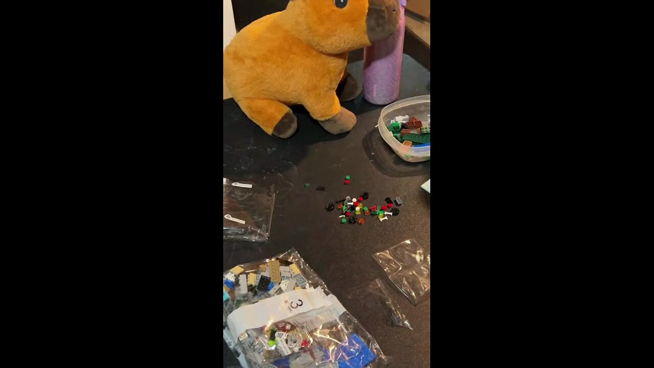 The First Mini Fig from The Set