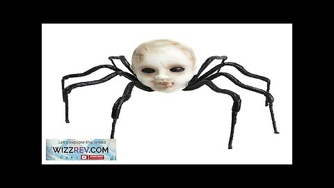 Baby Head Spider Creepy Decoration Review