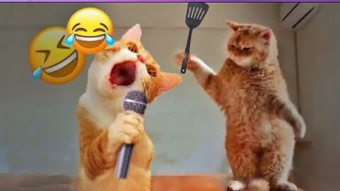 New Funny Cat and Dog Videos 😹🐶 Funniest Animals 🤣 Part 7