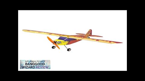 Dancing Wings Hobby E31 J3 FireBird 600mm Wingspan PP Foam RC Airplane Review