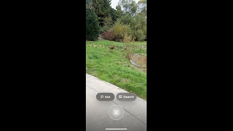 The Bible reading of the day the Old Testament series Deuteronomy 1:9-18