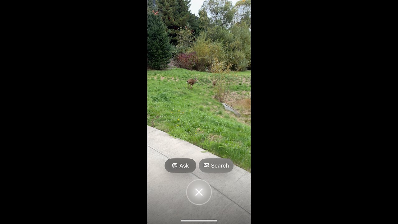 The Bible reading of the day the Old Testament series Deuteronomy 1:9-18