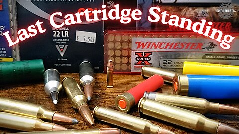 The last cartridge standing. (A 22LR channel look back)