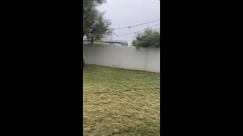 November rain in Phoenix, AZ