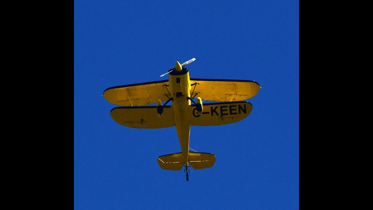 JOHN WAYNE HARRIS A WINGED FLYING MONKEY UNSAFE FLY REPORTED