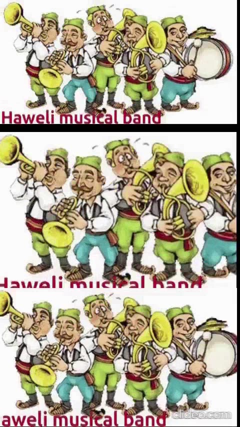 video engraçado leilao.mp4